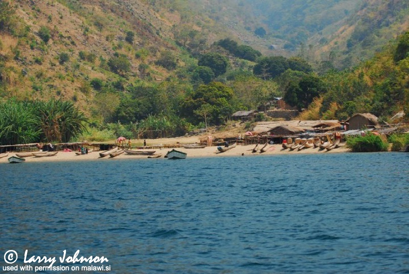 Lion's Cove 01